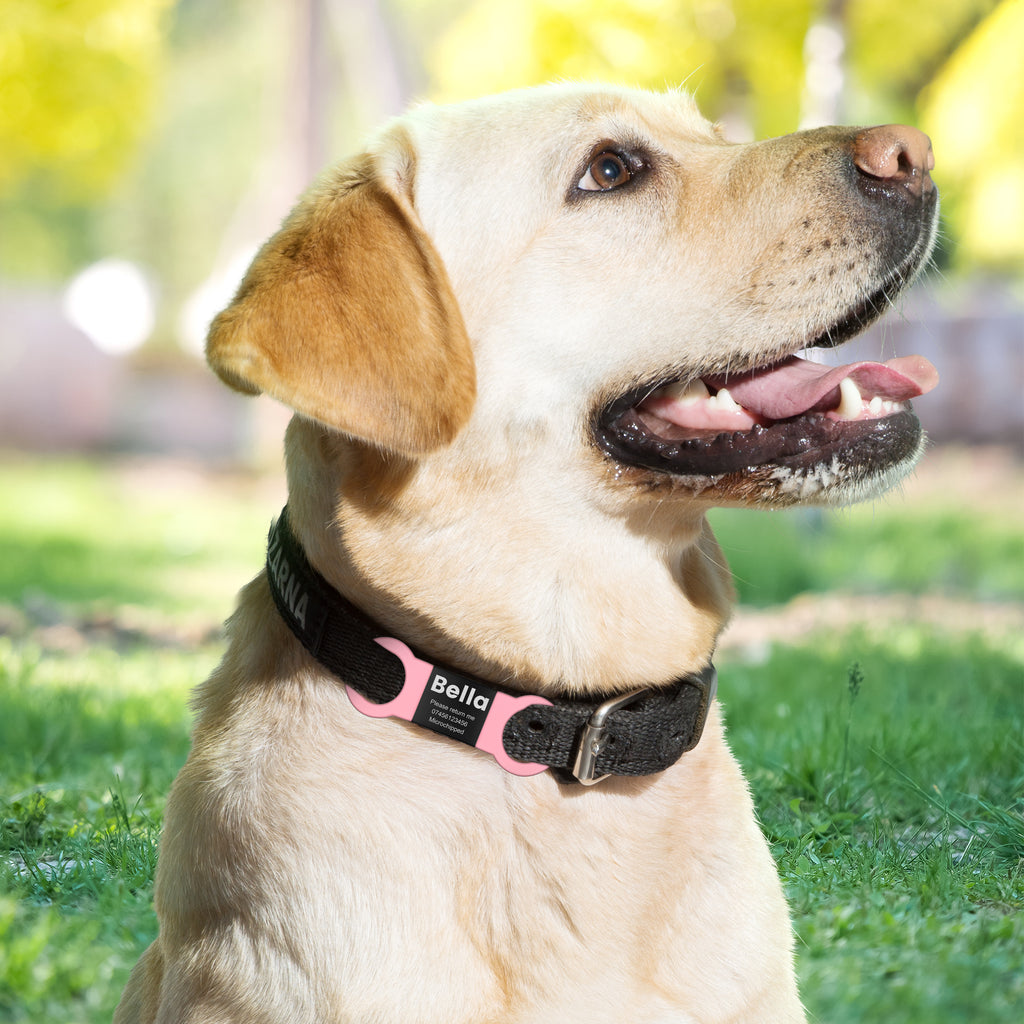 YEHANTI Personalised Pet ID Tags - Engraved Dog & Cat Name Tags, Silent Slide, 4 Lines Text - No Jingling