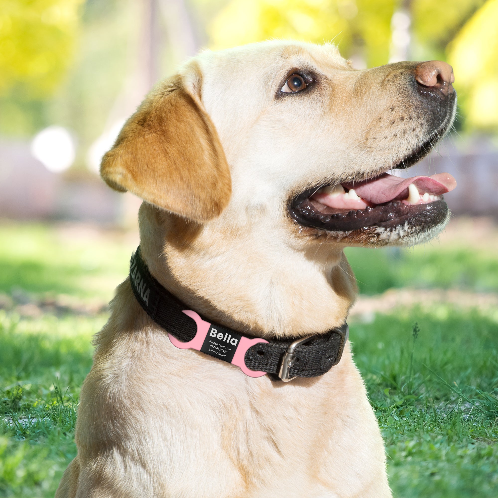 YEHANTI Personalised Pet ID Tags - Engraved Dog & Cat Name Tags, Silent Slide, 4 Lines Text - No Jingling
