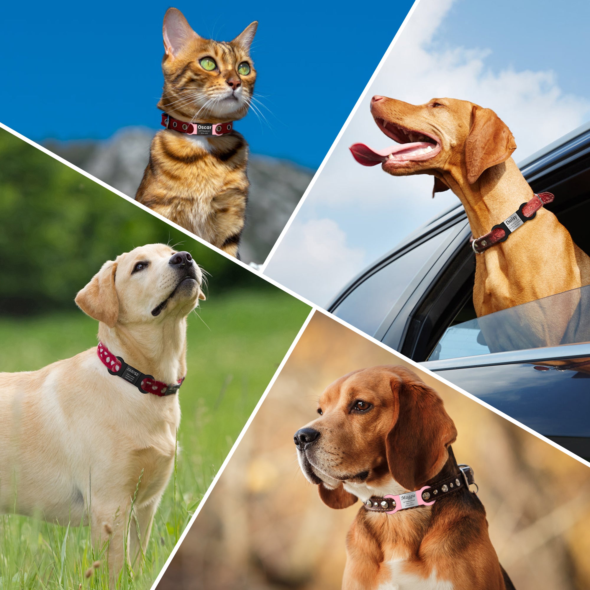 YEHANTI Personalised Pet ID Tags - Engraved Dog & Cat Name Tags, Silent Slide, 4 Lines Text - No Jingling